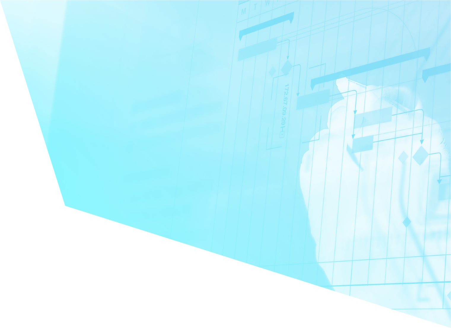 PROJECT DELIVERY & SCHEDULE